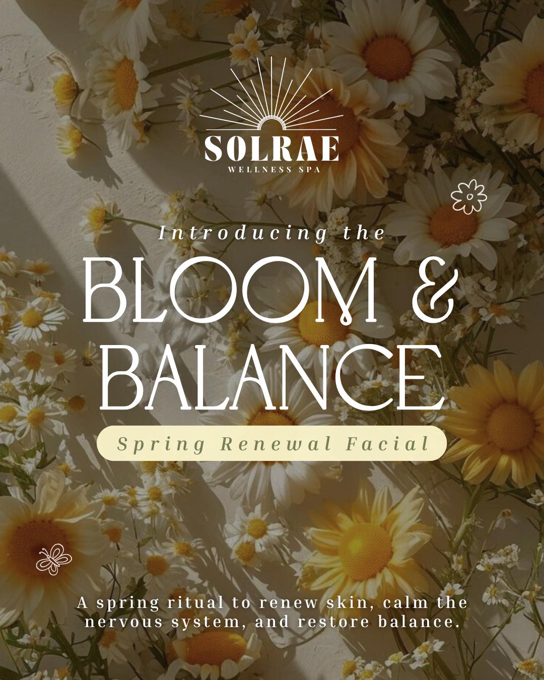 Autumn-inspired display of pumpkins and spices, highlighting the seasonal treatment at SolRae Wellness Spa that promotes radiant, rejuvenated skin.